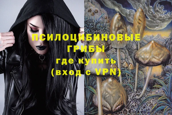 ГАЛЛЮЦИНОГЕННЫЕ ГРИБЫ Остров