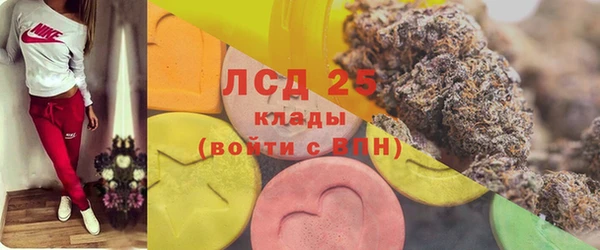 ГАЛЛЮЦИНОГЕННЫЕ ГРИБЫ Остров